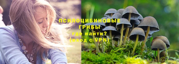 не бодяженный Абаза