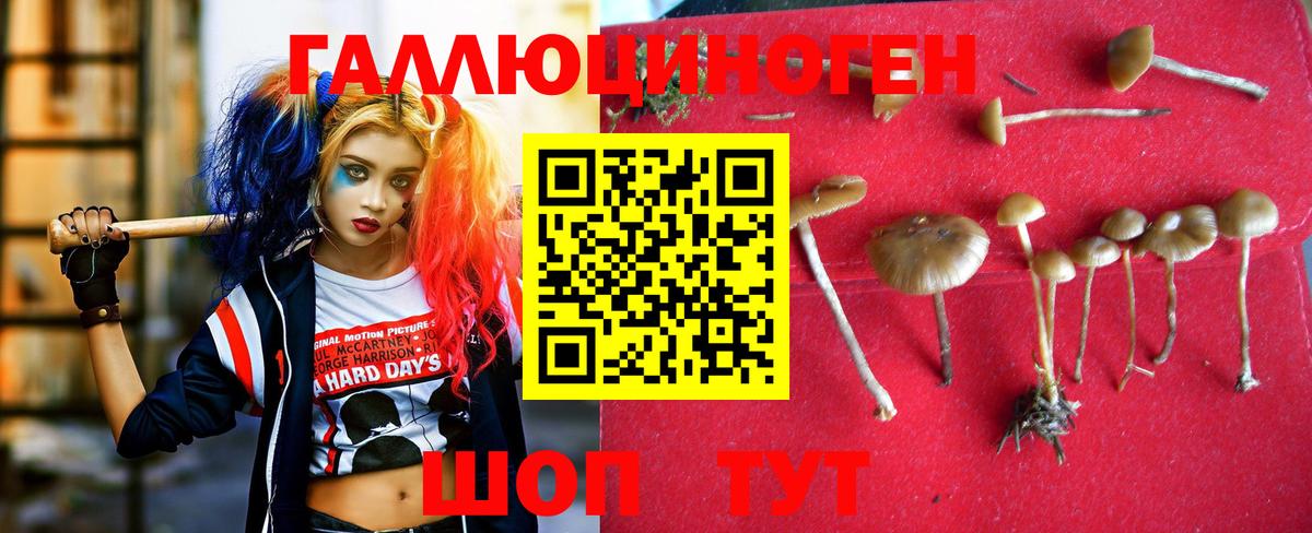 Кинешма  Псилоцибиновые грибы мухоморы  Вход с VPN 